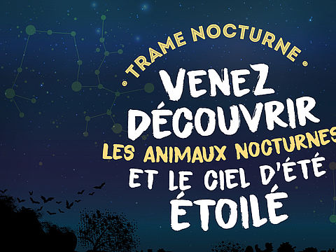 Visuel Trame Nocturne 2026 Limoges Métropole
